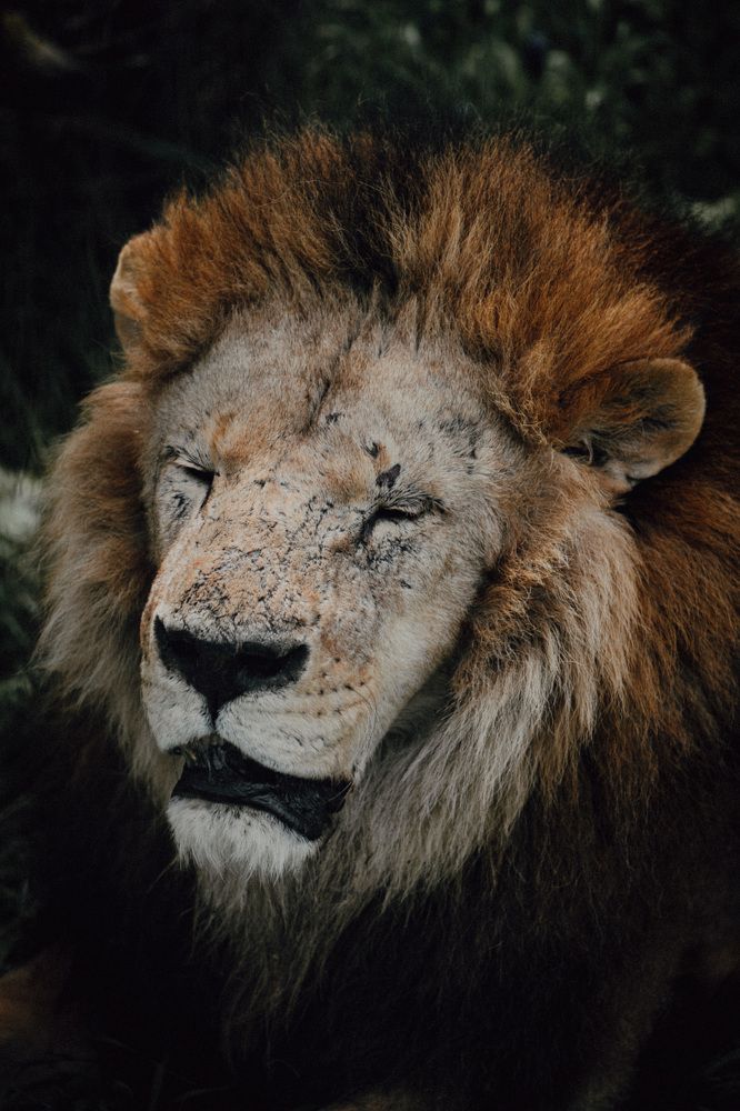 Фотография автора Igor Slobodynik