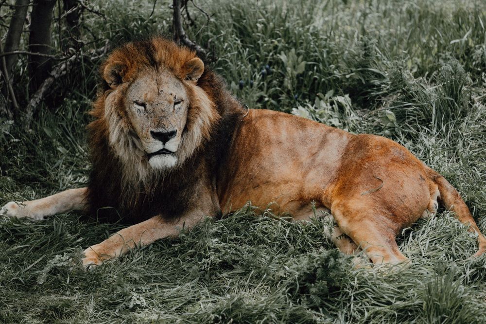 Фотография автора Igor Slobodynik