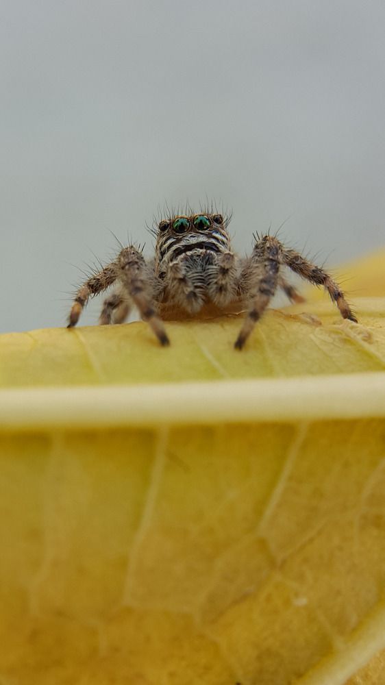 Photograph by Hosean Nasiri