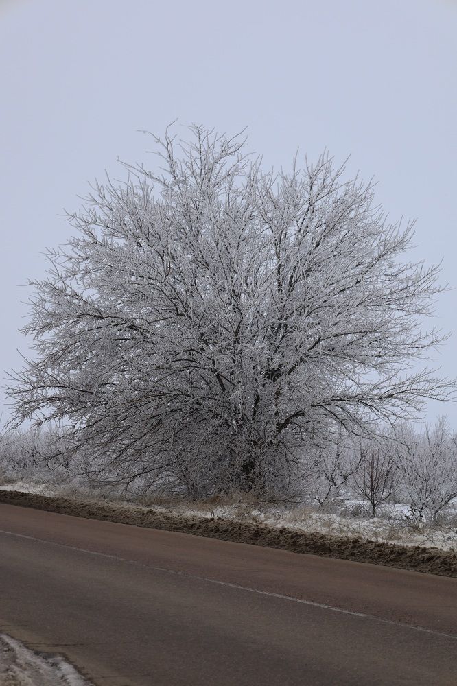 Photograph by Александра Малиновская