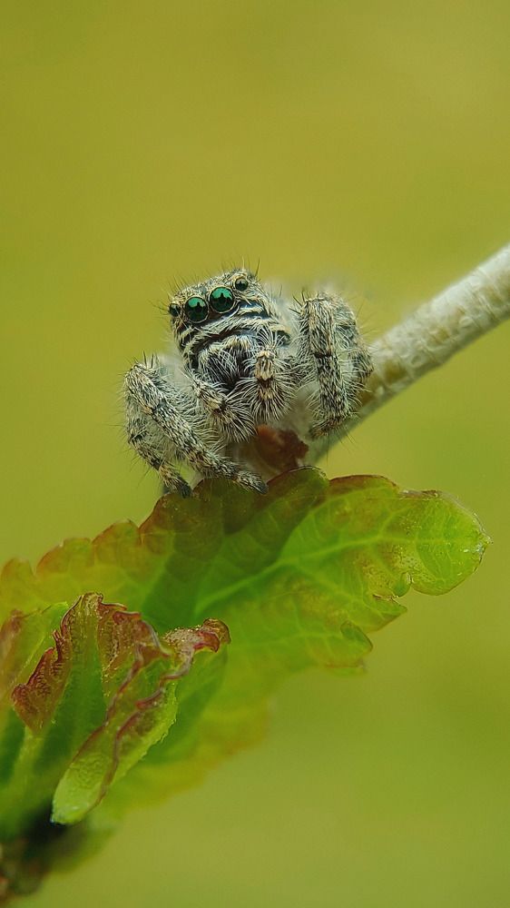 Photograph by Hosean Nasiri