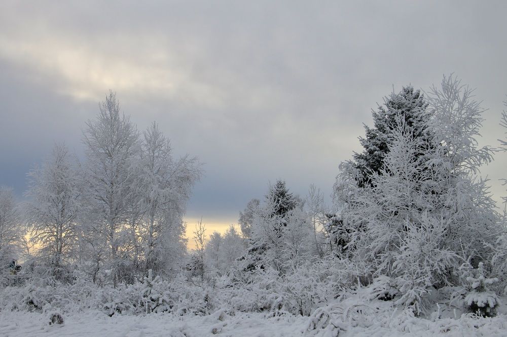 Photograph by Леунина Людмила