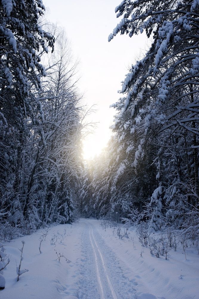 Photograph by Дмитрий