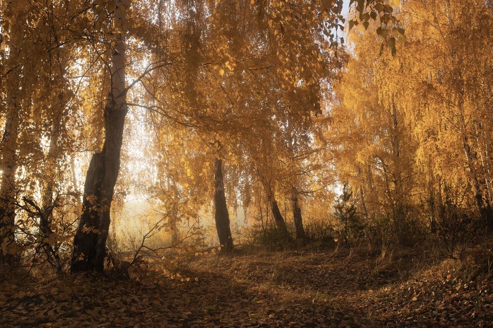 Photograph by Дмитрий