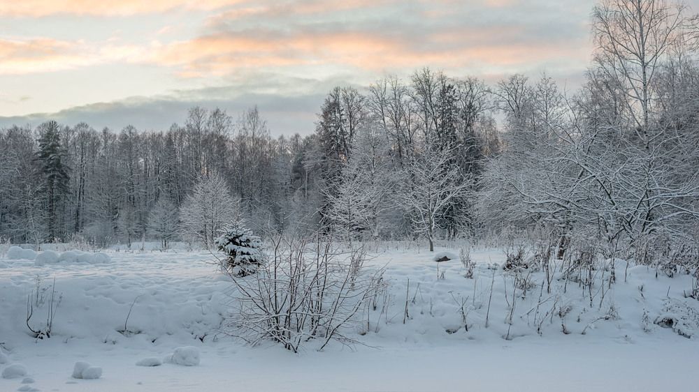 Photograph by Наталья Калягина