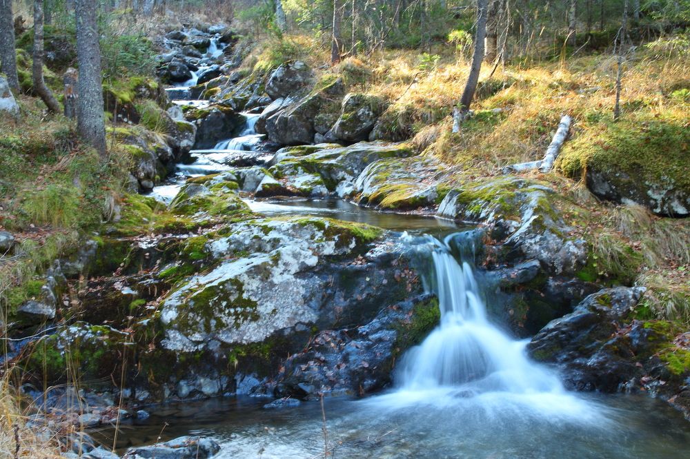 Photograph by Алексей Путилов