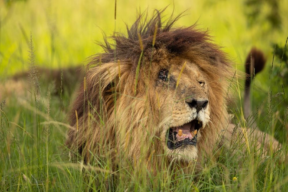 Photograph by Johan Willems