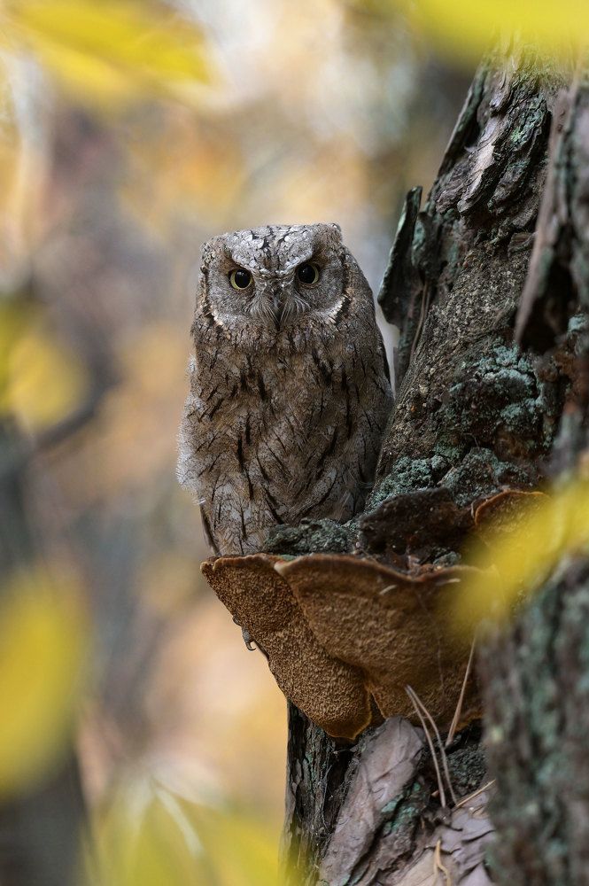 Photograph by Чернобай Анна