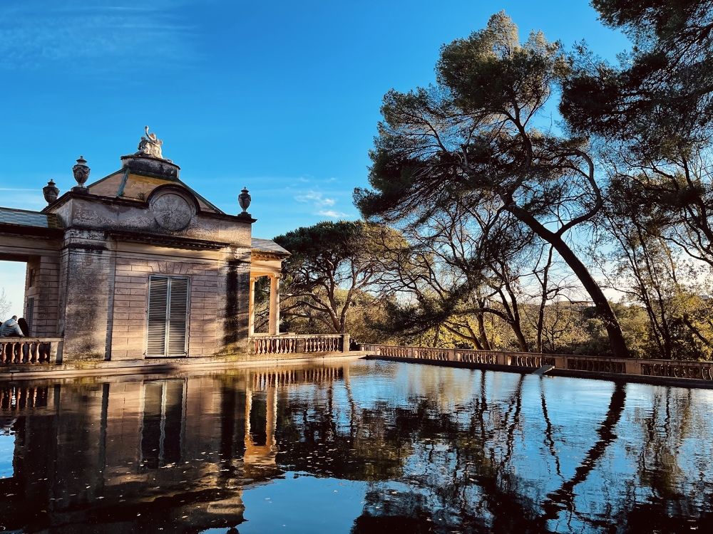 Photograph by Алина Захарова