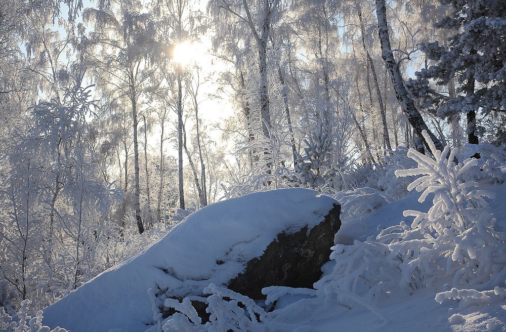 Photograph by Евгений Чуфаров