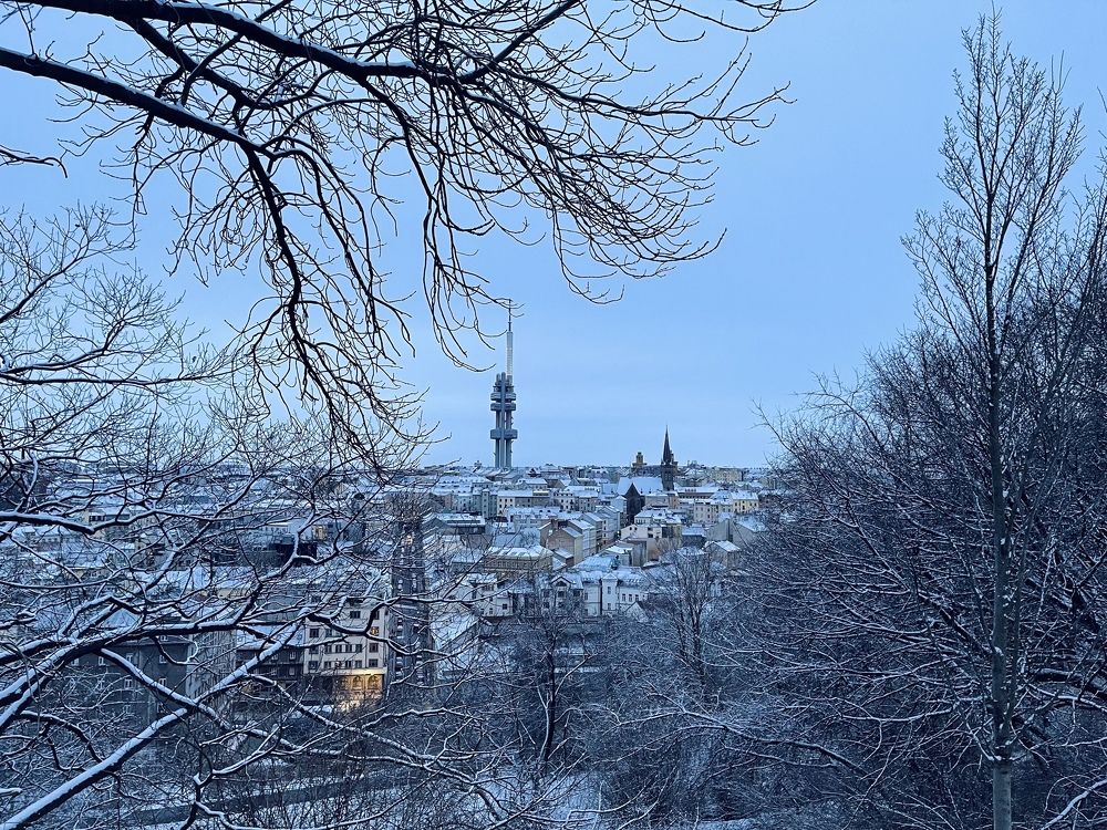 Photograph by Алина Захарова