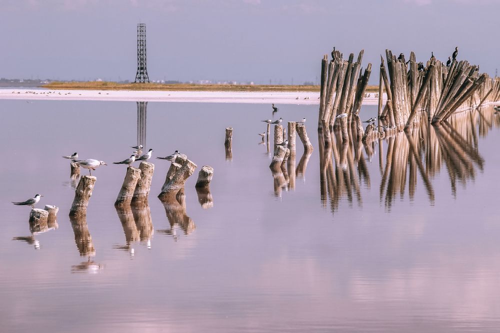 Фотография автора OXANA MARSOVA