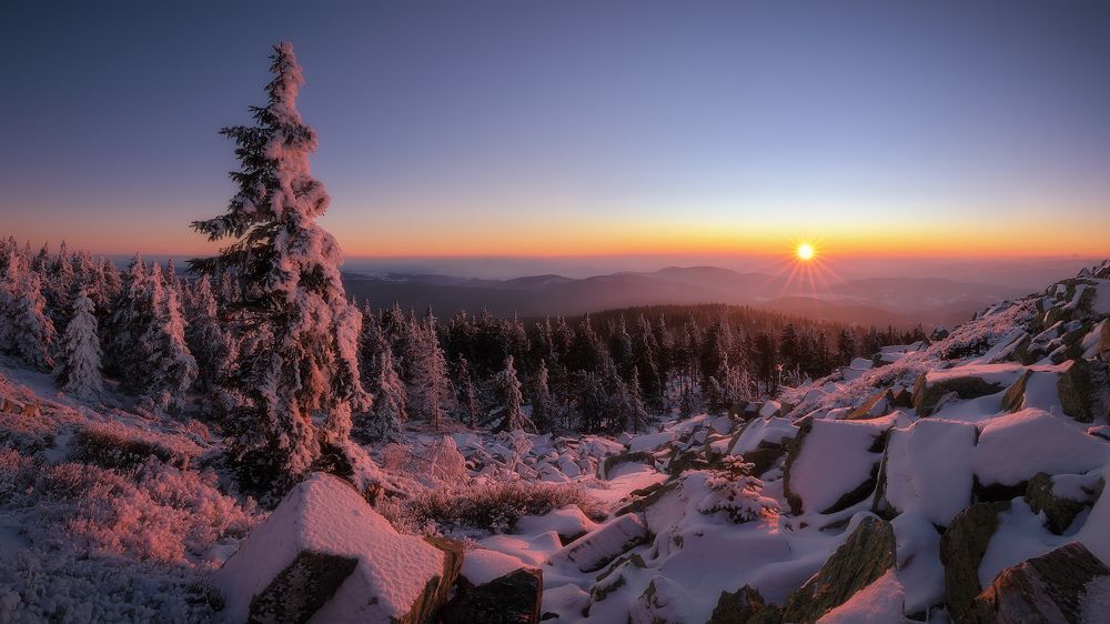 Photograph by Tom Kráčmar