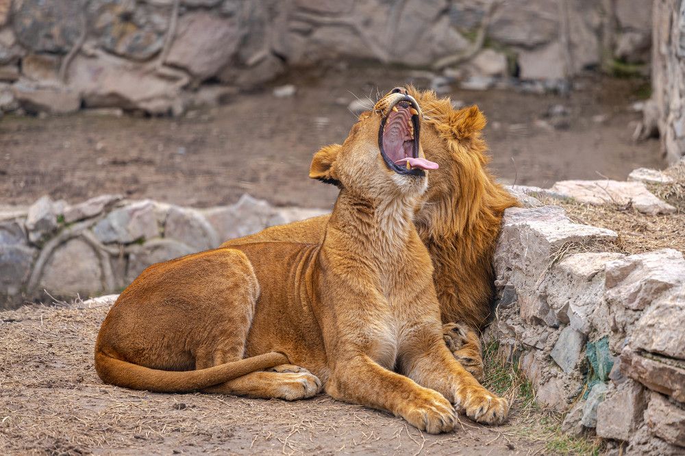 Photograph by Александр Коблов