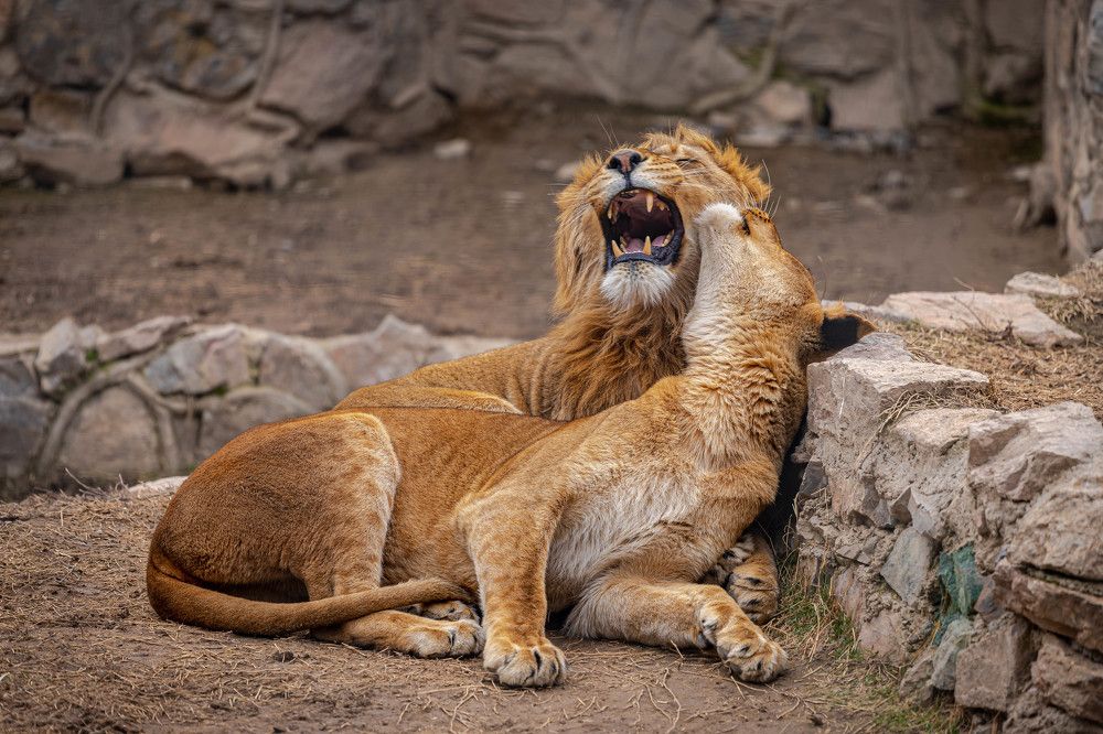 Photograph by Александр Коблов