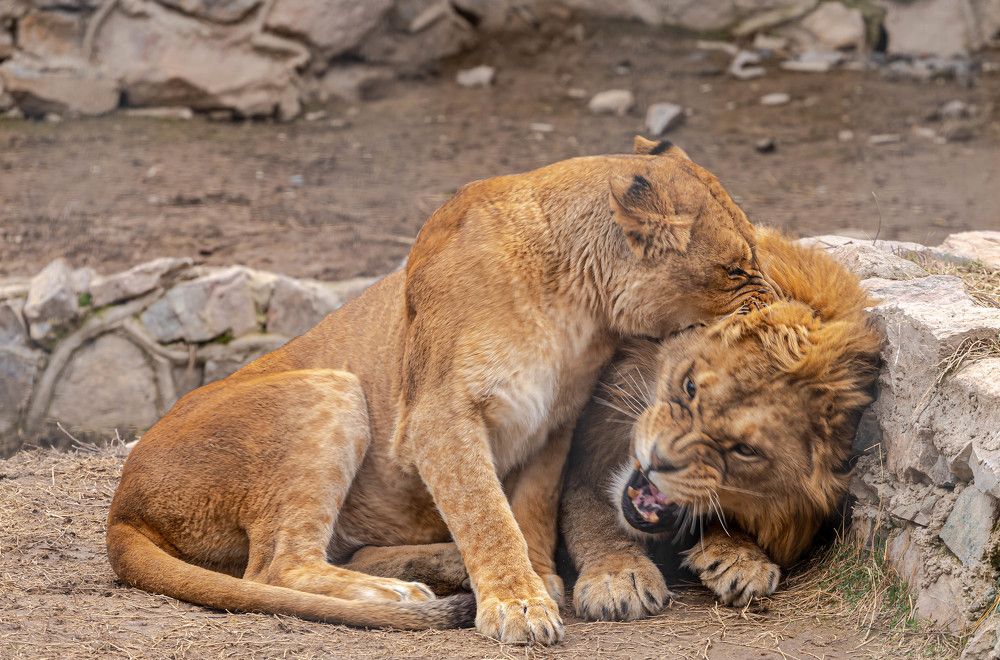 Photograph by Александр Коблов