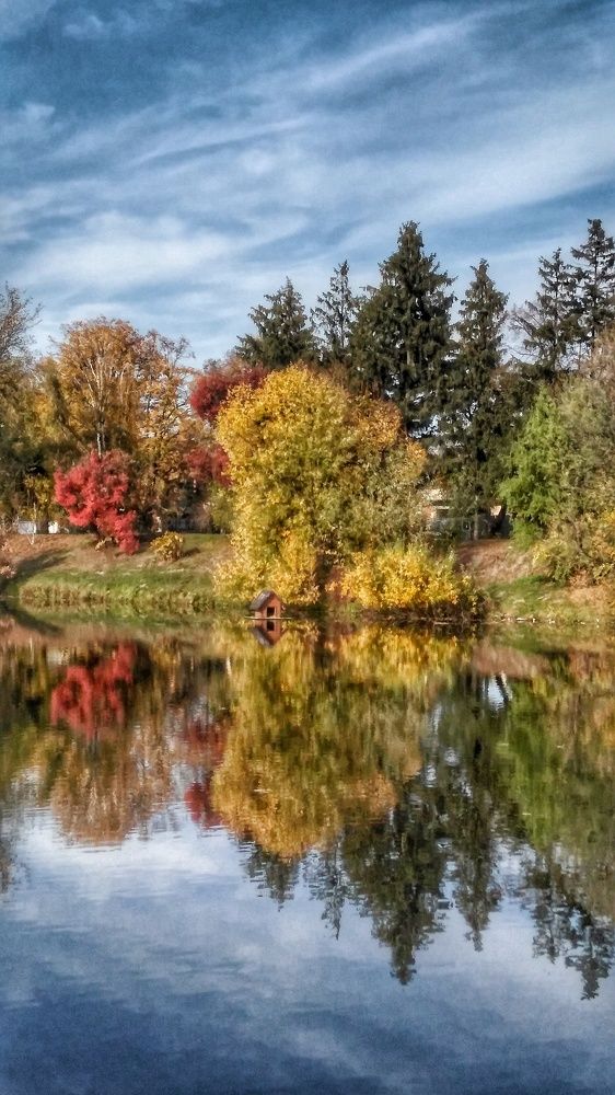 Photograph by Дарья