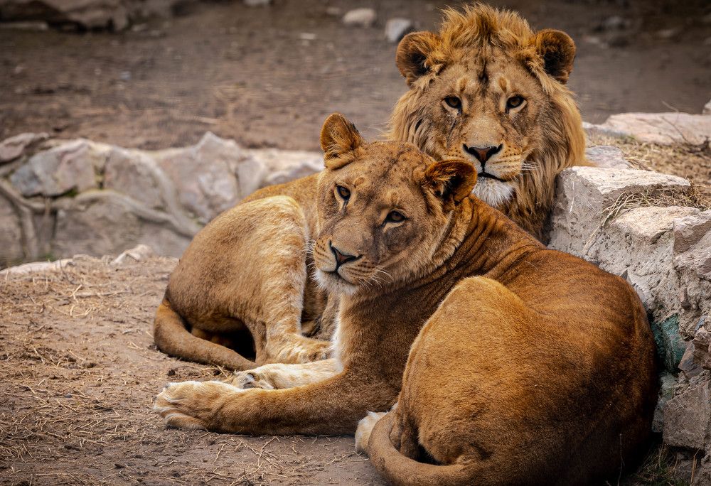 Photograph by Александр Коблов