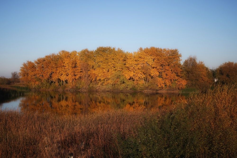 Photograph by Гульжан Шарипова