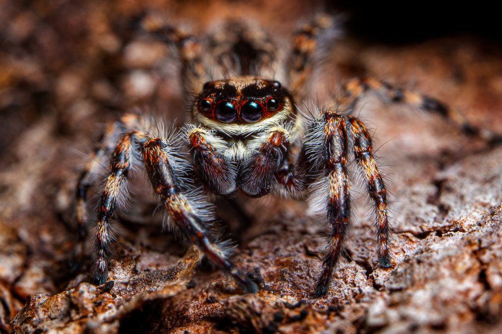 Photograph by Александр Балберов