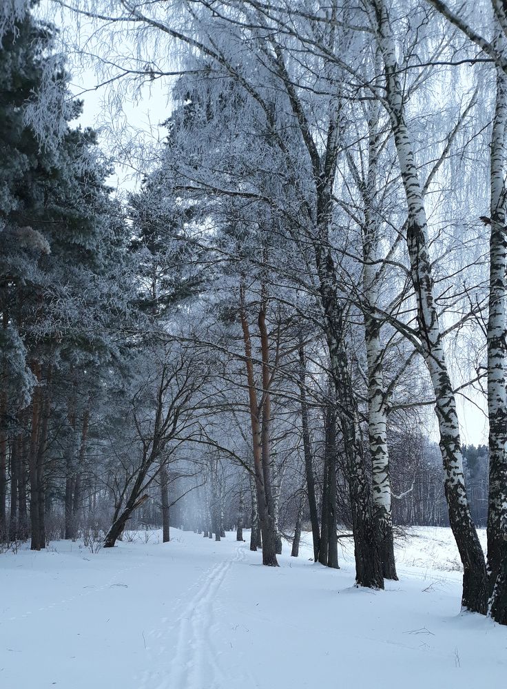 Photograph by Ольга Козлова