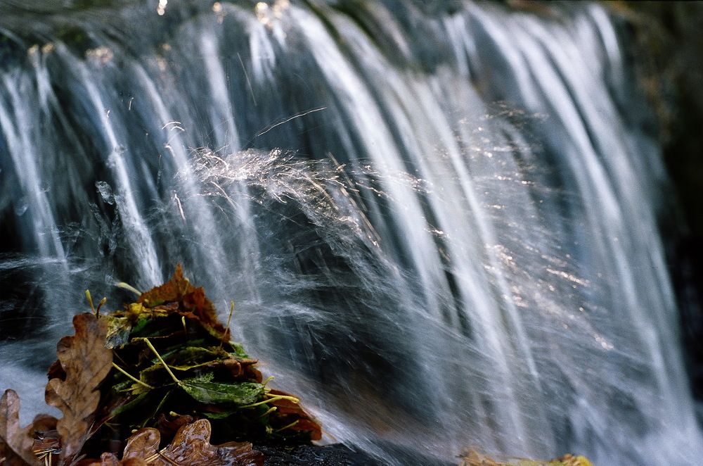 Photograph by Дмитрий Дрозд