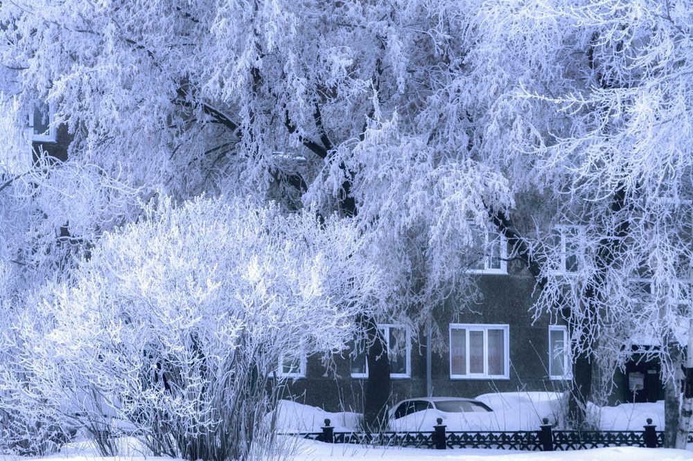 Photograph by Юлия Лушникова