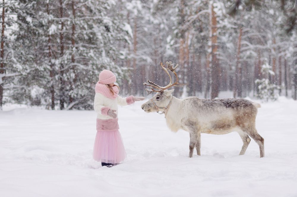 Photograph by Тиманова Марина