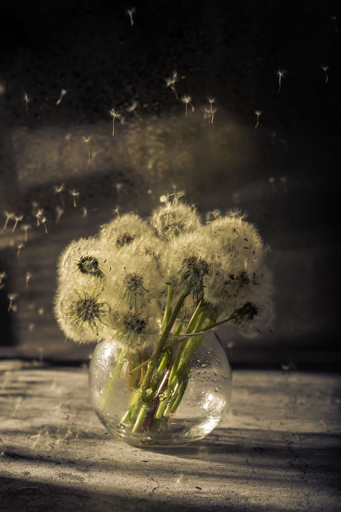 Photograph by Анжелика Овчинникова