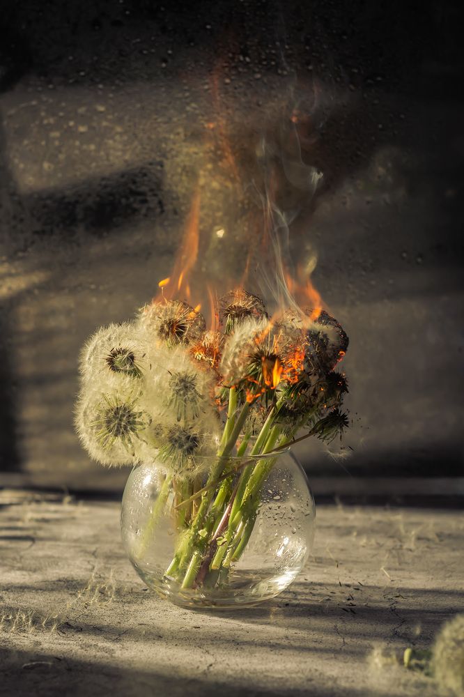 Photograph by Анжелика Овчинникова