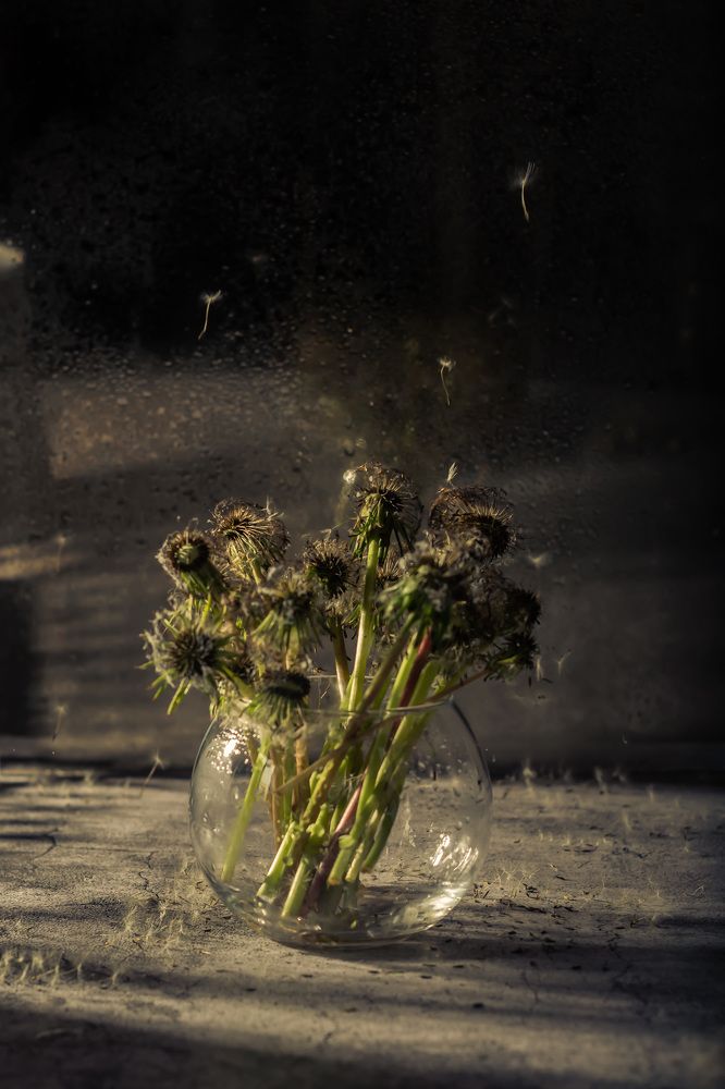 Photograph by Анжелика Овчинникова