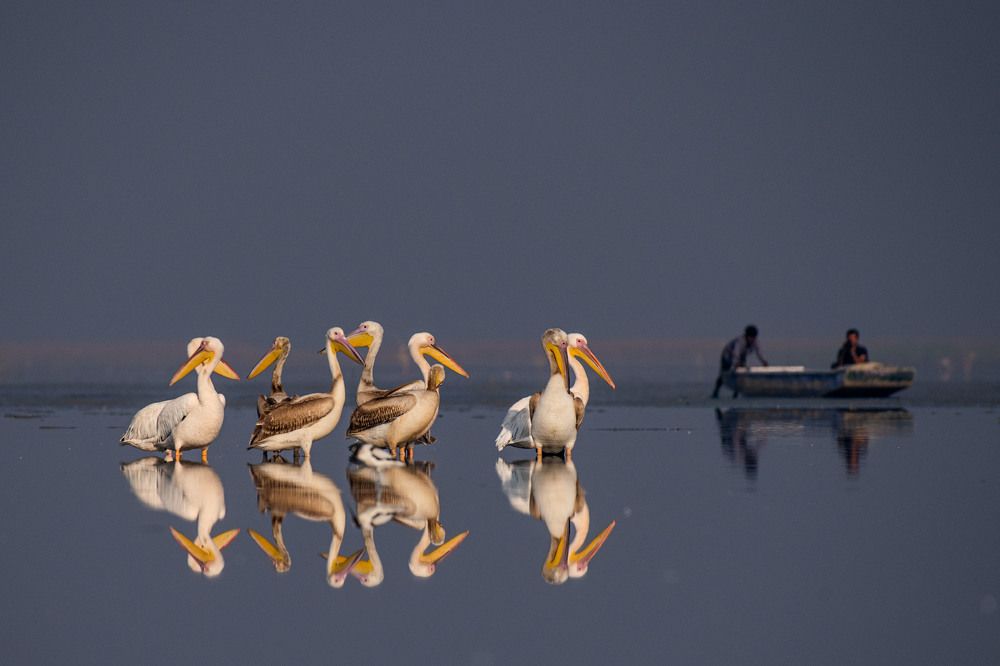 Photograph by Prashant Parate