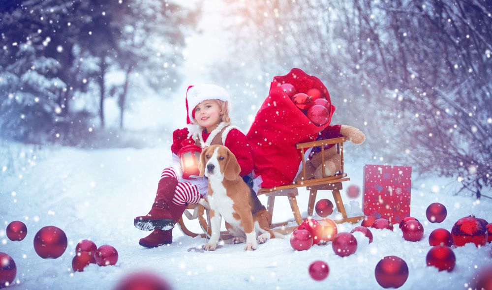 Фотография автора Katerina Mumzhinskaya