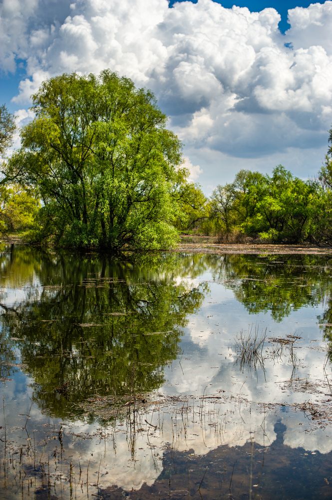 Photograph by Роман Васильев