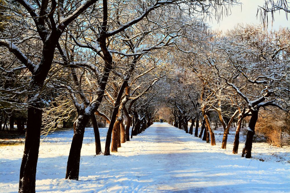 Photograph by Анна Котлярова