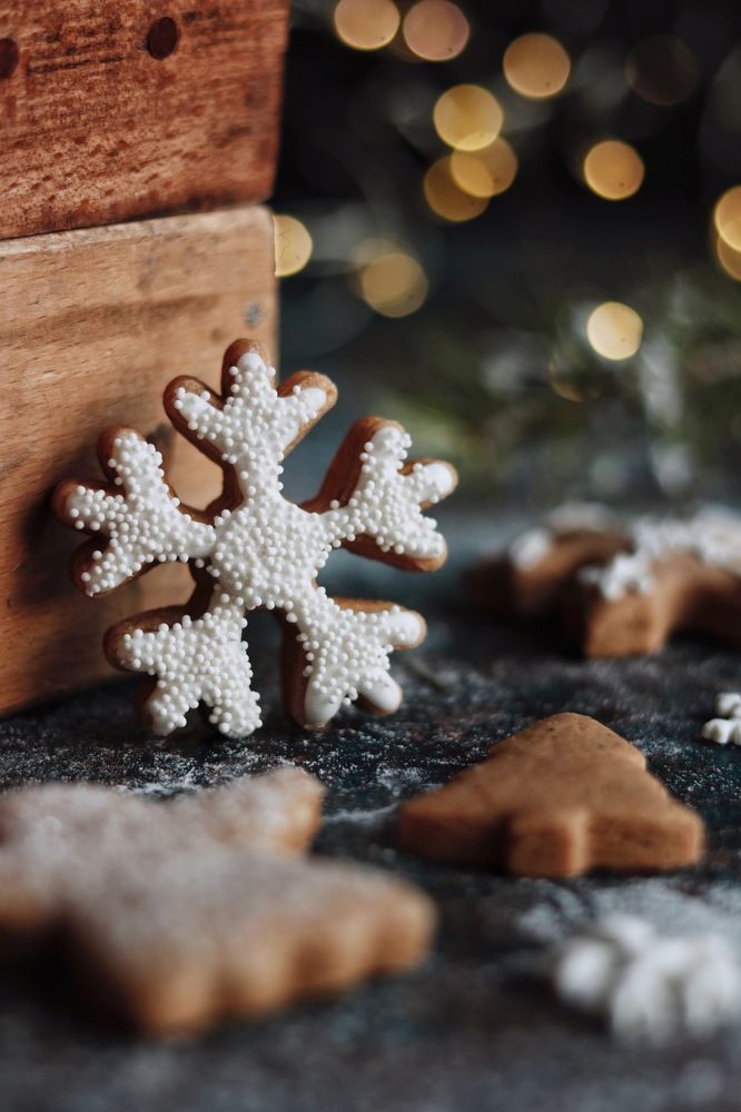 Photograph by Hamide Jafari