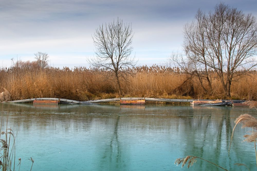 Photograph by Kincse-Boros