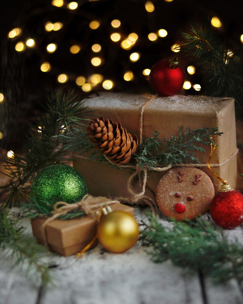 Photograph by Hamide Jafari