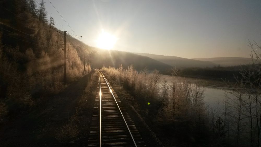 Photo #7016044