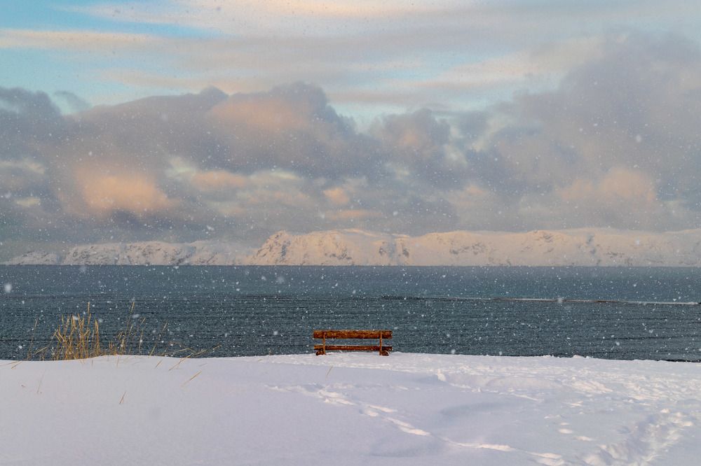 Photograph by Исаков Дмитрий