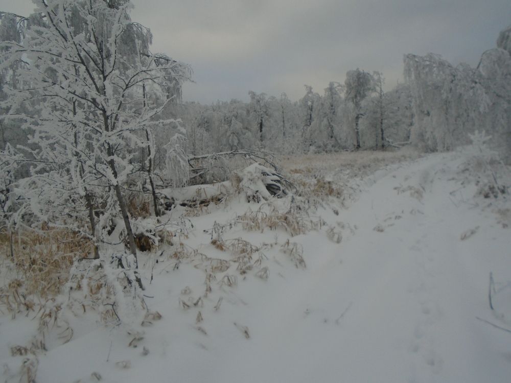 Photo #7016148