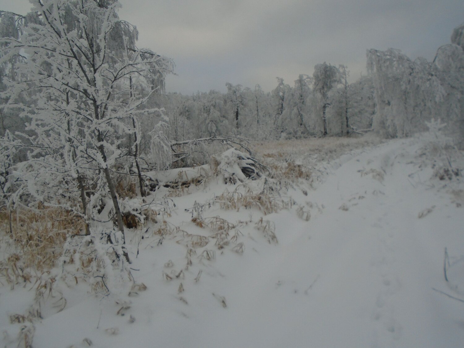 Photo #7016148