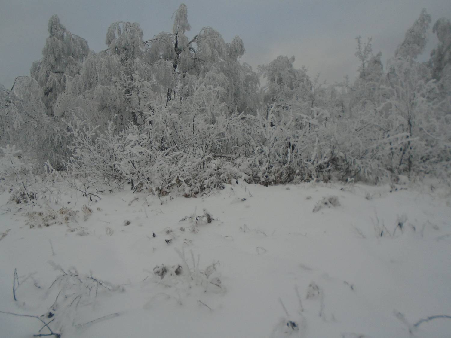 Photo #7016173
