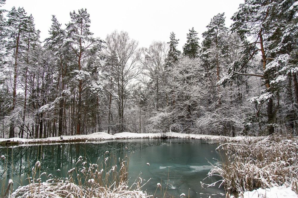 Photograph by Андрей Шаронов