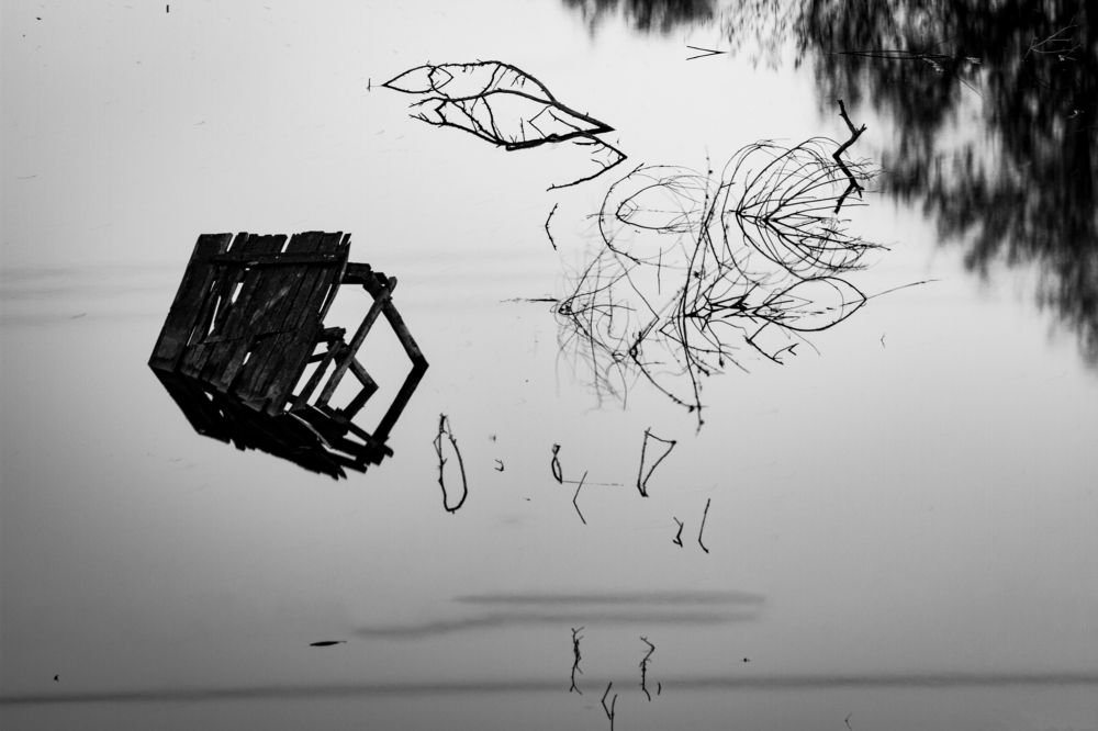 Photograph by Андрей Данилюк