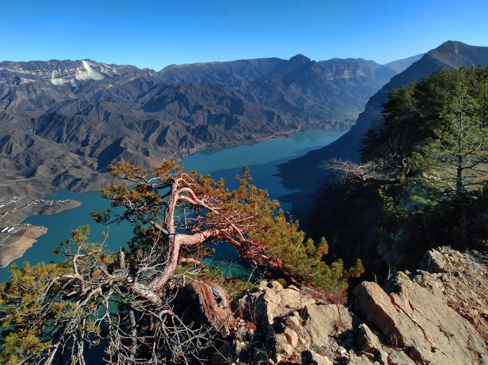 Photograph by Marat Magov