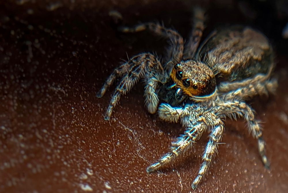 Фотография автора Subham Durgey