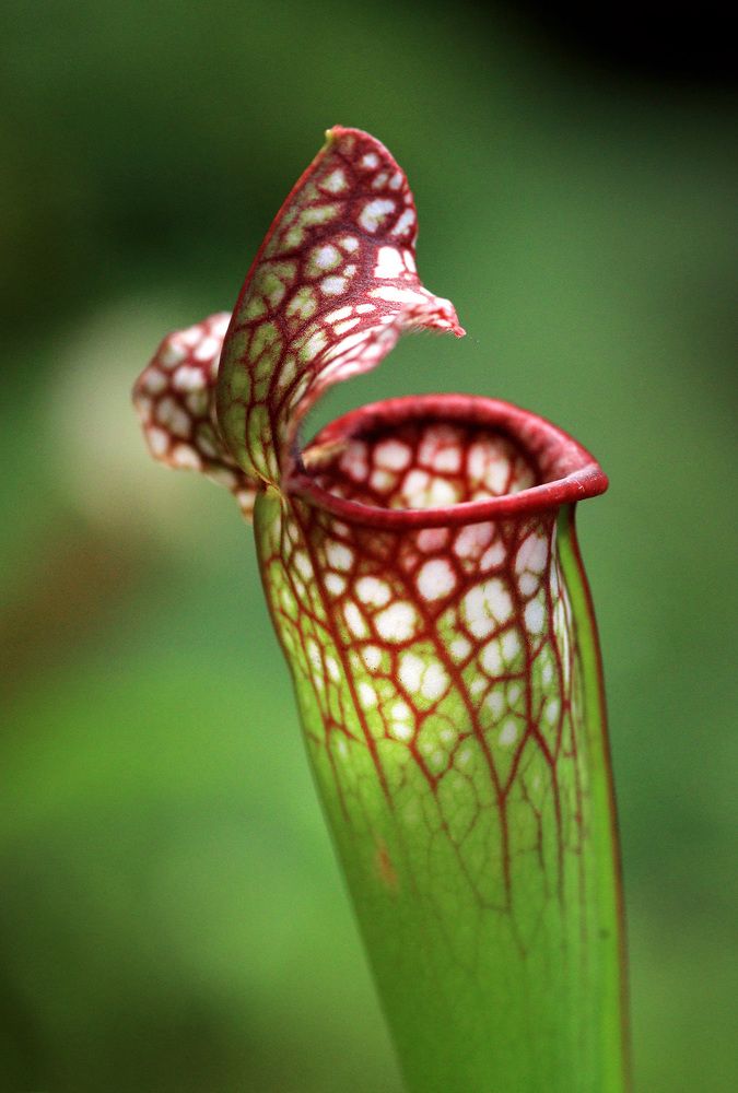 Фотография автора Сергей