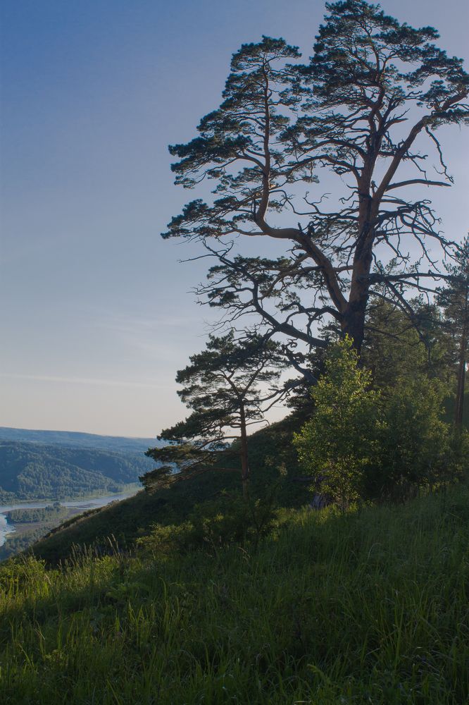 Photograph by Александр Жариков