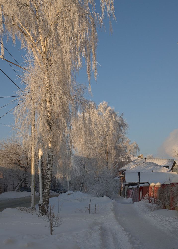 Photograph by Николай Новожилов